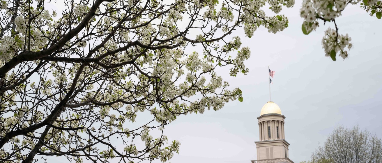 University of Iowa campus in spring with the Pentacrest dome and spring flowers peeking through