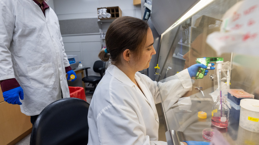 Female medical working doing science research