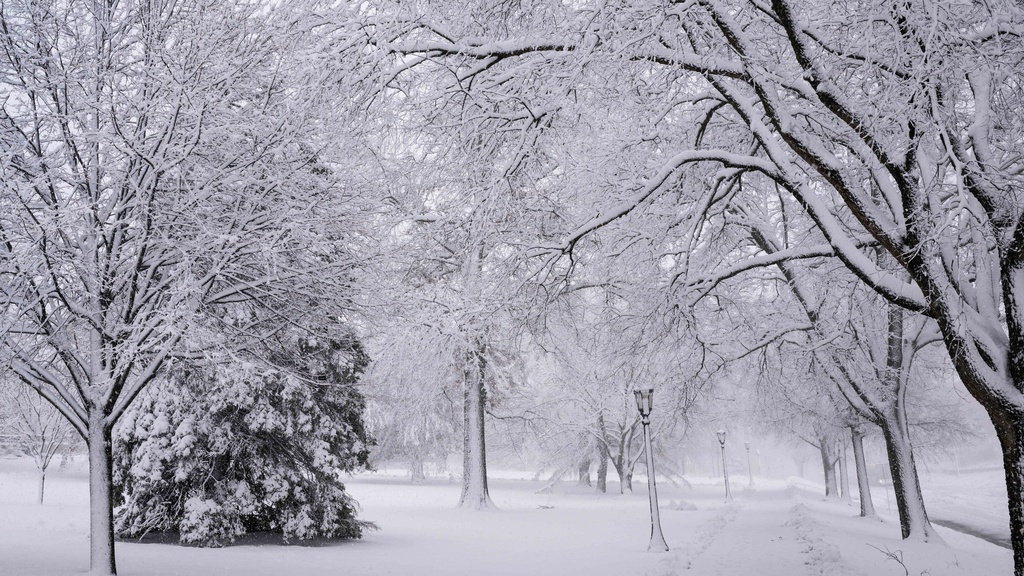 Snow Storm 