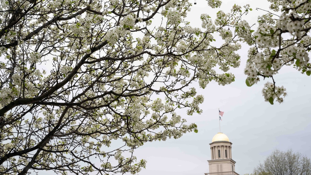 University of Iowa campus in spring with the Pentacrest dome and spring flowers peeking through